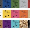 15種類のイメージカラー