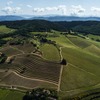 イタリアの名門ワイナリー、「マルケージ・アンティノリ」