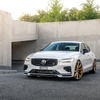 HEICO SPORTIV VOLUTION X ゴールドブロンズマット装着例