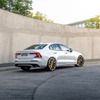 HEICO SPORTIV VOLUTION X ゴールドブロンズマット装着例