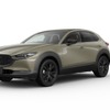 CX-30(マツダ シーエックスサーティ)
