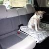 愛犬もゆったりと座れるシート