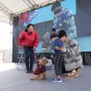 過去の開催の様子