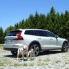 ボルボ V60クロスカントリー（旧タイプ）