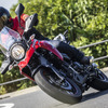スズキ Vストローム250