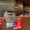 オオサンショウウオのぬいぐるみは特別臨時職員として、MKVIPステーションにも展示