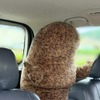 オオサンショウウオタクシー