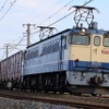 EF65形式電気機関車（展示車両と同型）