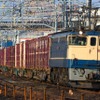 EF65形式電気機関車（展示車両と同型）