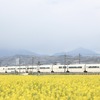 特急ロマンスカー・VSE（50000形）