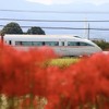 特急ロマンスカー・VSE（50000形）