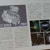 ホンダ・アコードワゴン 当時のカタログ