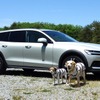 筆者の愛車と愛犬