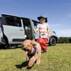 トイファクトリー、愛犬家向け新シートカバー「to.mo.ne.（と・も・に） シートカバー【IRISH Style】」を新発売