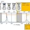 従来の点火コイル ( 誤着火発生時 )