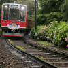 事業例：箱根登山鉄道