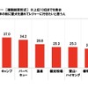 愛犬と一緒に楽しみたいレジャー
