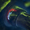 クラックの確認の様子