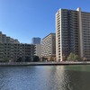 枝川から豊洲を臨む。画面中央が江257号の突き当たり、手前が豊洲運河