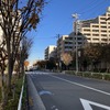 特別区道・江257号は豊洲運河に突き当たる。手前が豊洲方面、奥が住吉方面