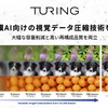 チューリングがマルチモーダルAI向け新圧縮技術を開発