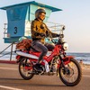 ホンダ『トレール125』の2025年モデル（米国仕様）