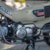 ホンダ『トレール125』の2025年モデル（米国仕様）