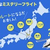 ミステリーフライト