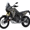ヤマハ テネレ700 ABS 2025年モデル（マットイエローイッシュグレーメタリック2）