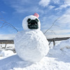 雪だるまに埋まったデリ丸。