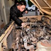 埼玉自動車大学校クラシックカークラブ