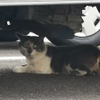 （イメージ）