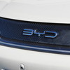 BYD ドルフィン