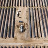イムラートラックのブラジル子会社のメルセデスベンツ・ド・ブラジルが大規模太陽光発電プロジェクト「ドゥナミス」に参画