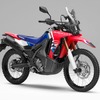 ホンダ CRF250 RALLY