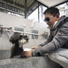 スプラッシュパーク秩父にはキャンプ施設や温泉だけではなくドッグランや犬用温泉まで完備している