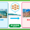 輸送イメージ