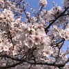 （イメージ）