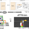 自動運転車両システムとの連携イメージ