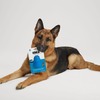 VWが電気ミニバン『ID. Buzz』にインスパイアされた犬用おもちゃを米国で限定発売