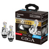 GIGA LEDヘッドバルブ D10 D4S 6000K［BW904］