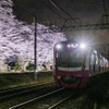 80000形とライトアップされた桜（2023年撮影）