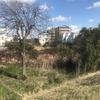 怪無池（けなしいけ）