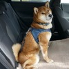 スバル インプレッサ ST・FWD
