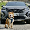 プジョー 2008 GT BlueHDi