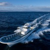 ヤマハ発動機の新型漁船「DY-48I-0A」