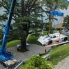 FuoriConcorso 2025