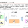 スーパー耐久レースを舞台に、低炭素ガソリンの開発で“共挑”…ENEOS、トヨタ、スバル、マツダ、日産