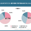 Z世代のはじめてのマイカー選び調査