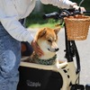 愛犬とお出かけ